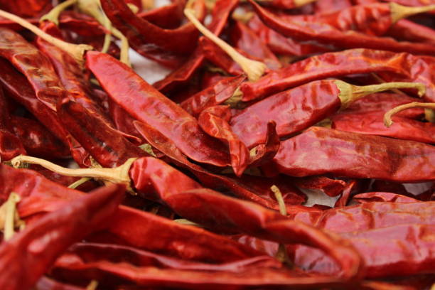  Common Dry Red Chilli